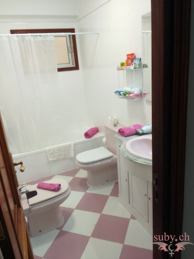 suby-balmer-guest-bath-room Gästebad mit Dusche, WC und Bidé.